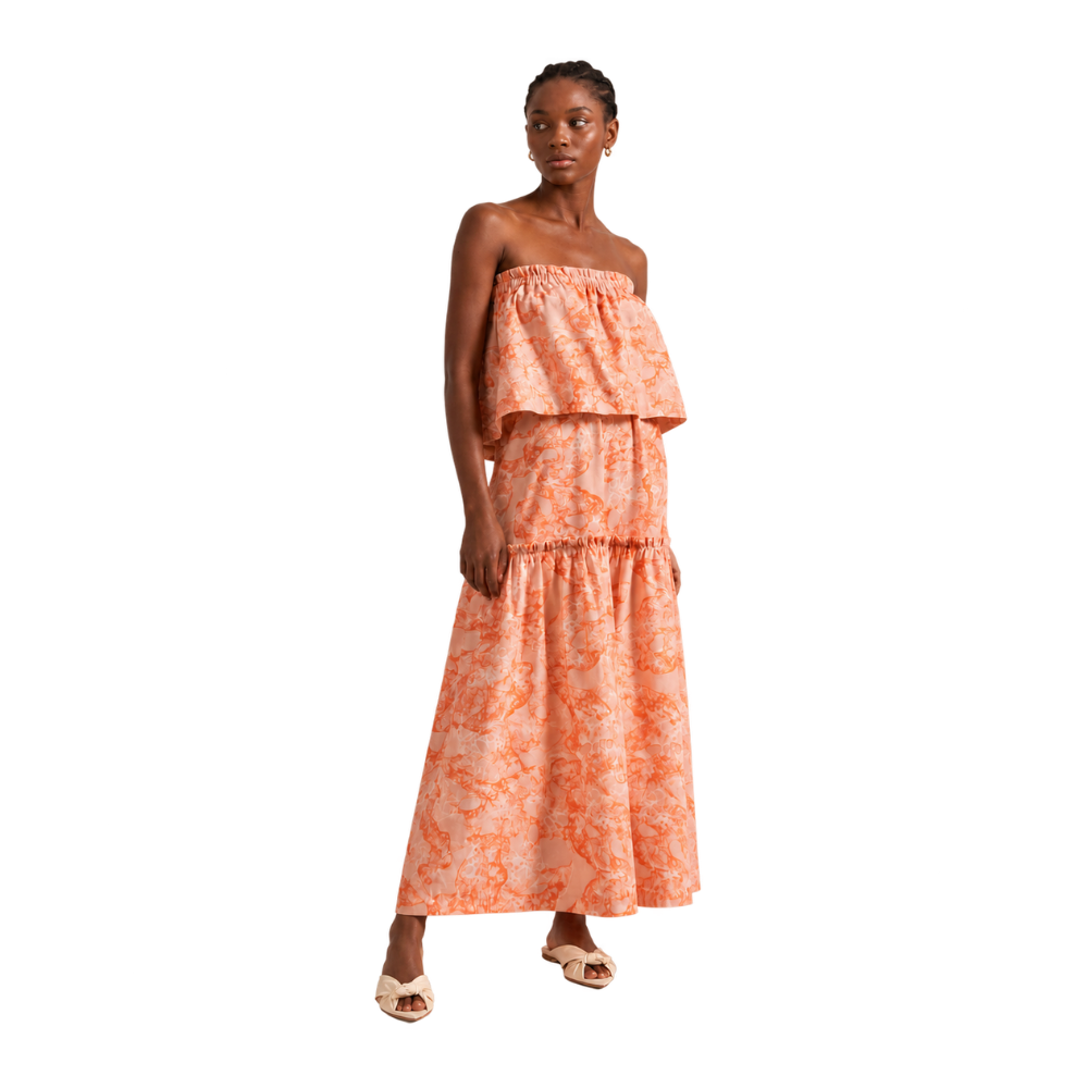 Vestido Longo Estampado Adriana Degreas